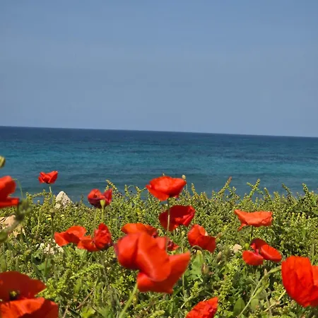 Royal Seacrest 2 Bedroom A 205 *